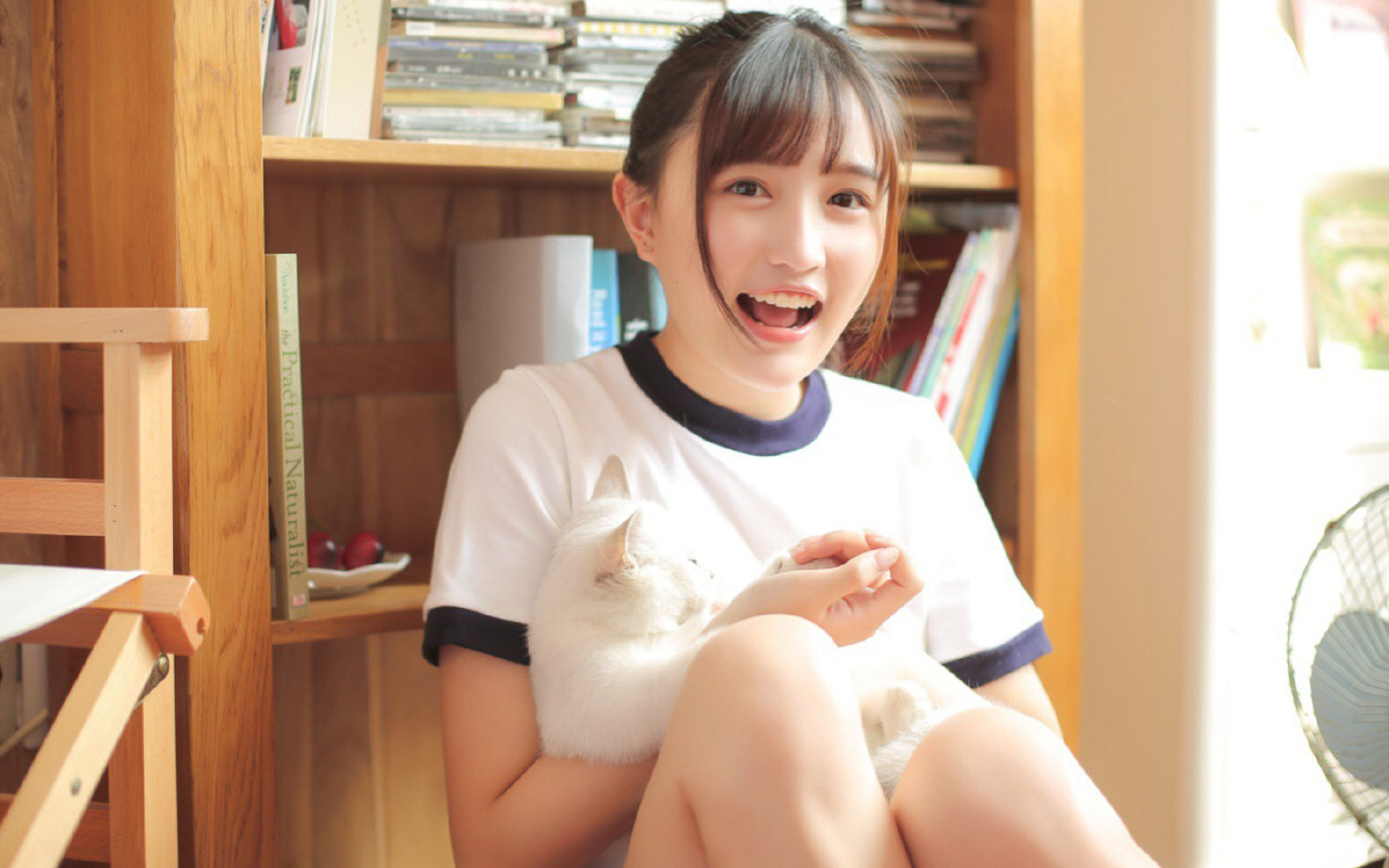 本泽马上帝模式！塞内加尔军团碾压希腊，非洲足球再写血腥篇章